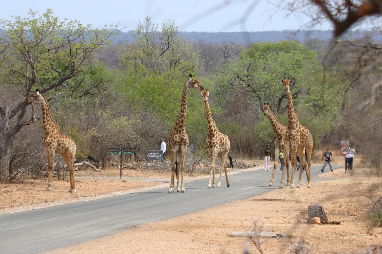 Unembeza Boutique Lodge & Spa Hoedspruit Esterno foto